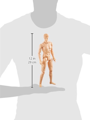 Amazon | ボークス マッチョボディ CD-210 345210 | モデル人形・手 通販